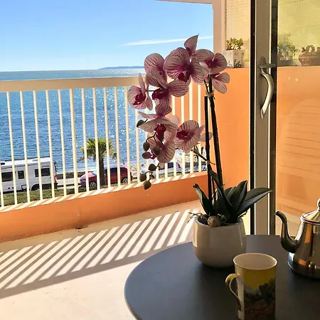 L Echappee Marine Raphael Appartement